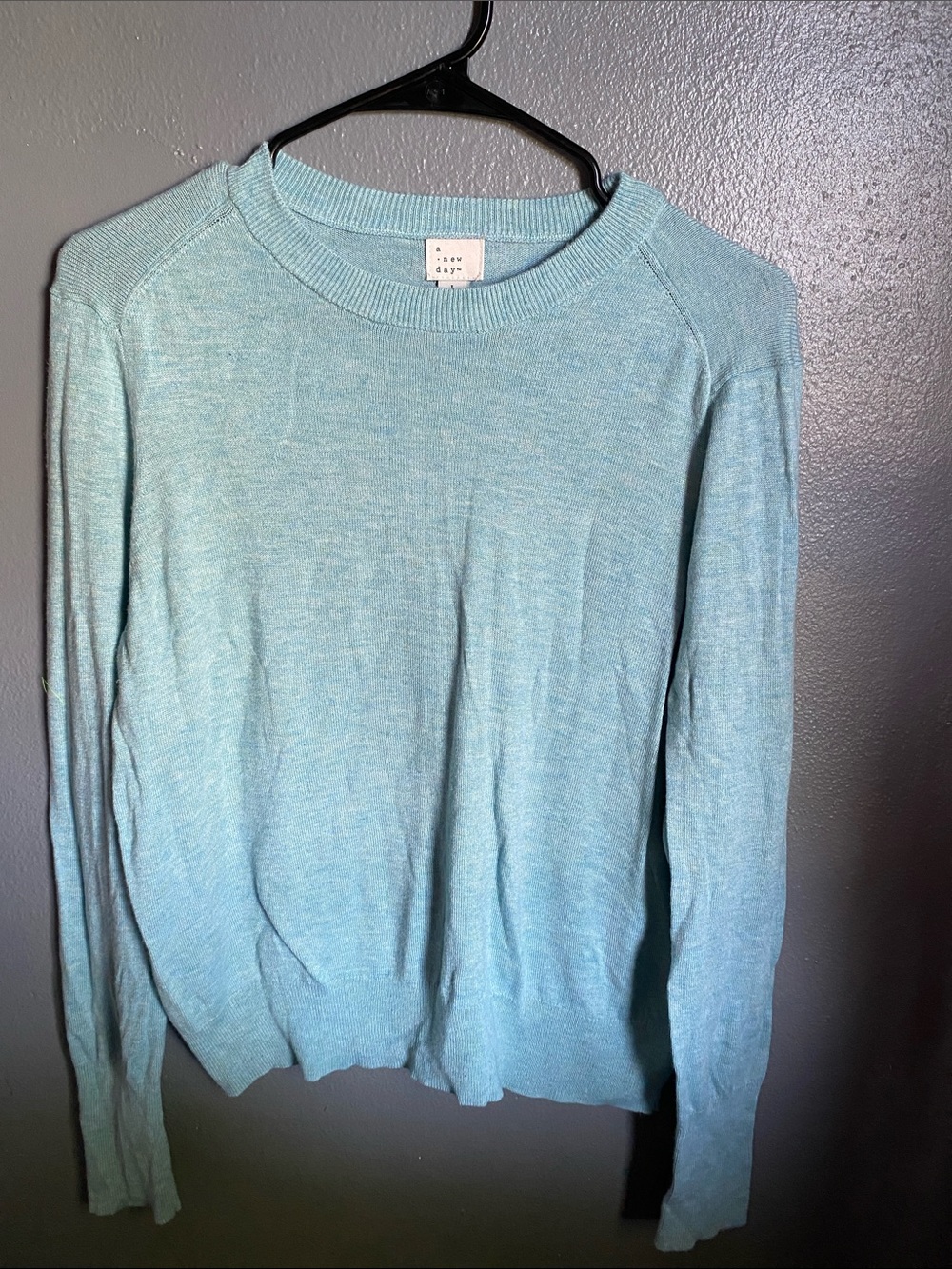 Light Blue Woman’s Crewneck Sweater